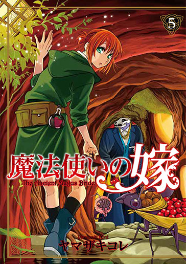 魔法使いの嫁 14 (Mahōtsukai no yome, #14) by Kore Yamazaki